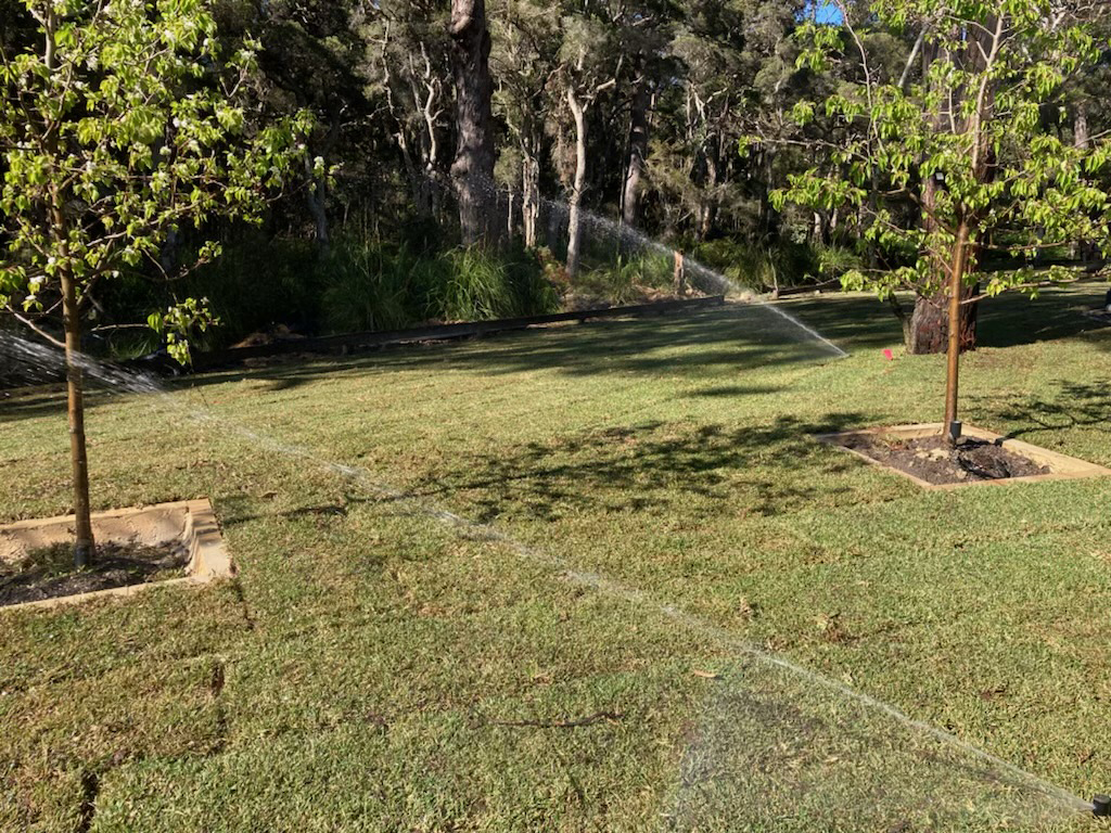 Central Coast Lawn Sprinkler